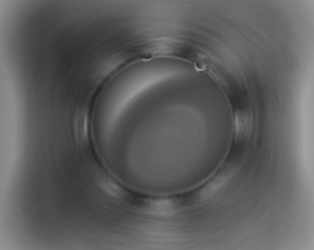 X0000113920301200910011517