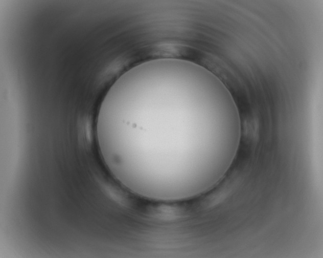 X0000113920302200910011517