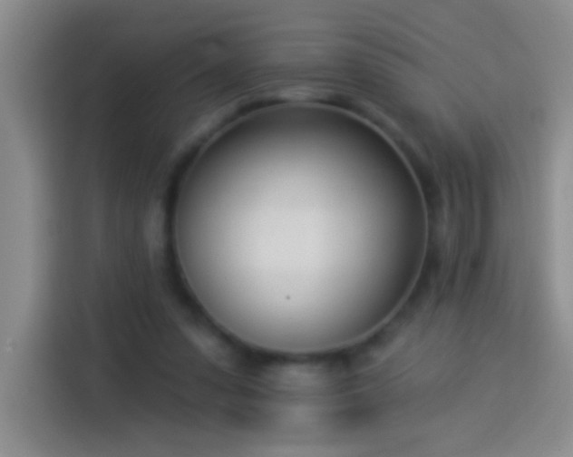X0000113920303200910011517
