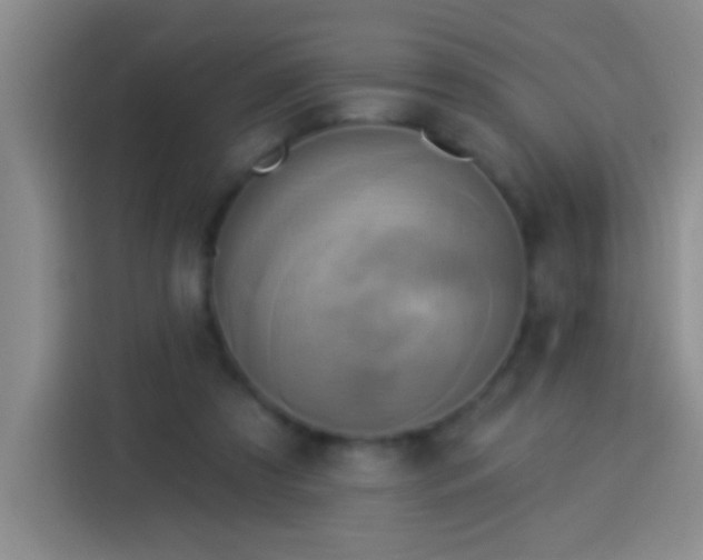 X0000113920305200910011517