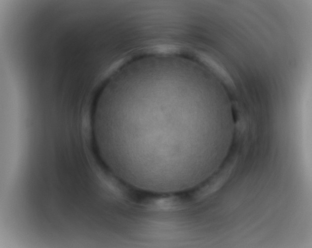 X0000113920306200910011517