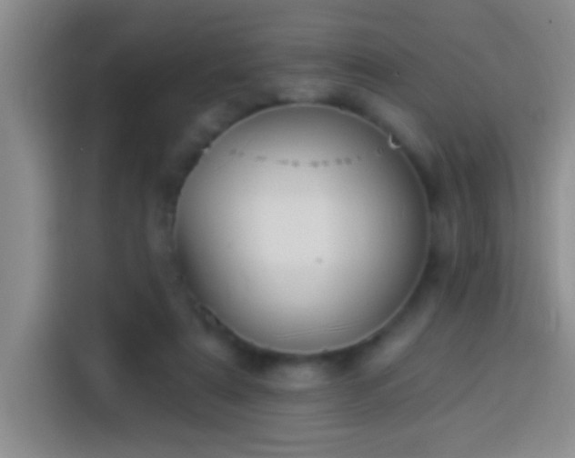 X0000113920307200910011517