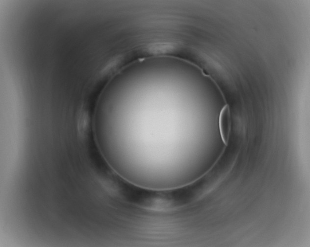 X0000113920308200910011517