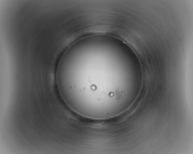 X0000113920309200910011517