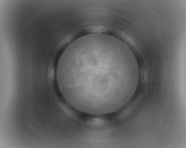 X0000113920310200910011517