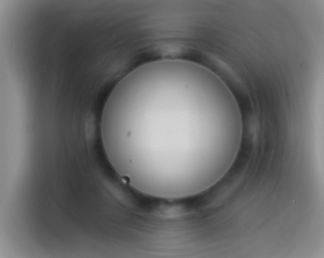 X0000113920311200910011517