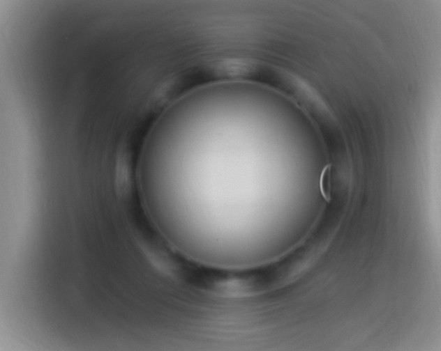X0000113920312200910011517