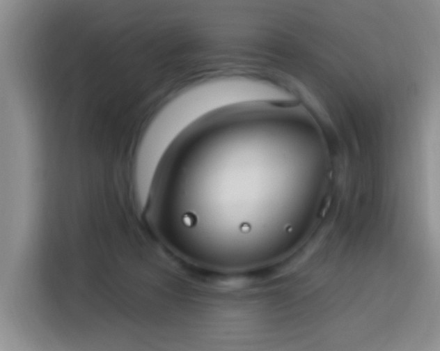 X0000113920313200910011517