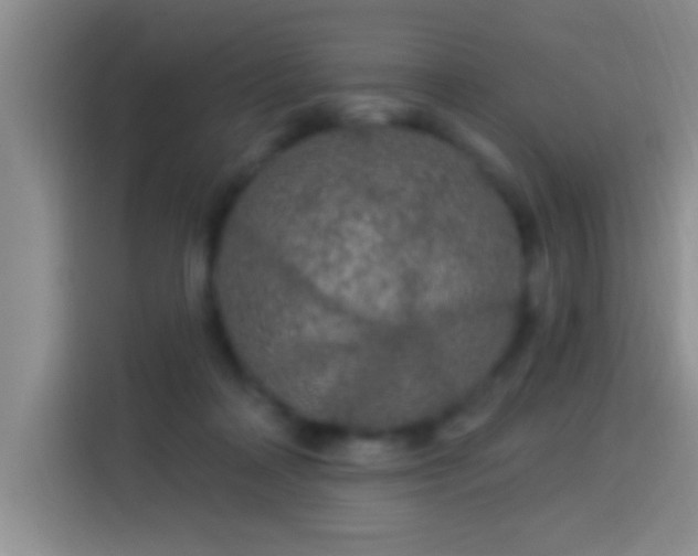X0000113920314200910011517