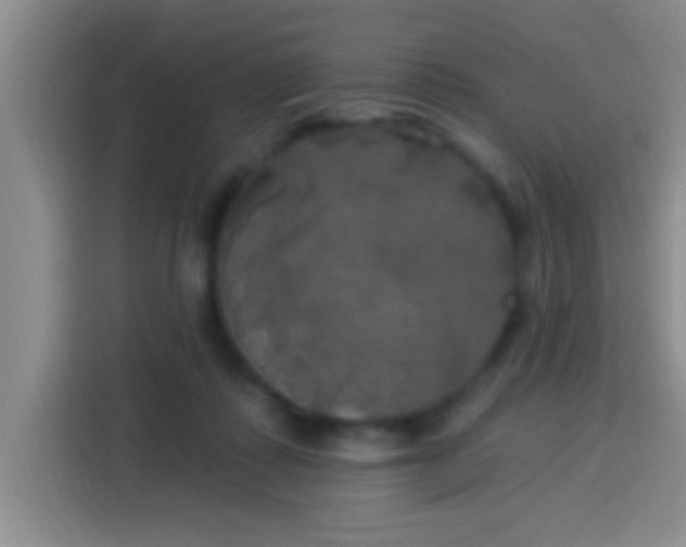 X0000113920315200910011517
