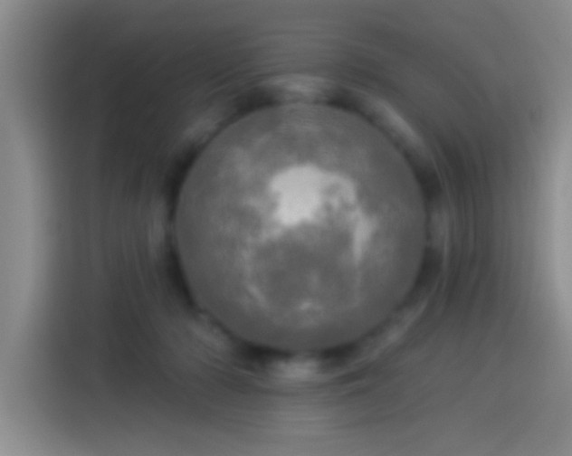 X0000113920318200910011517