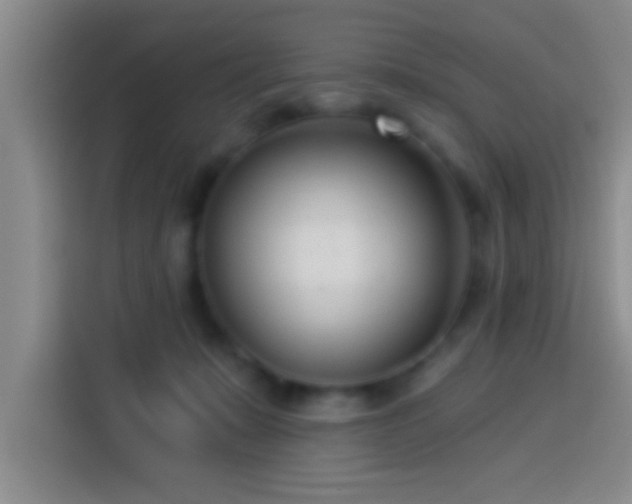X0000113920319200910011517