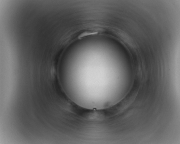 X0000113920320200910011517