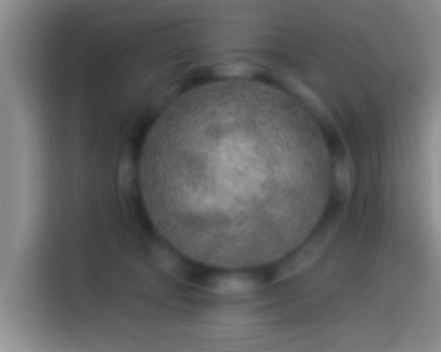 X0000113920322200910011517