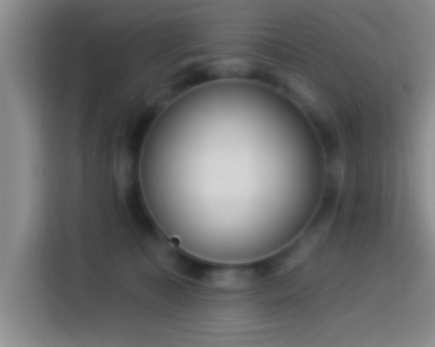 X0000113920323200910011517
