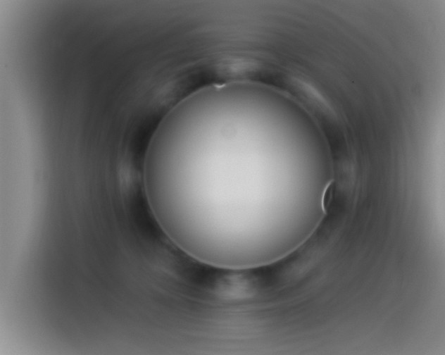 X0000113920324200910011517