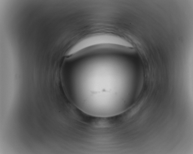 X0000113920325200910011517