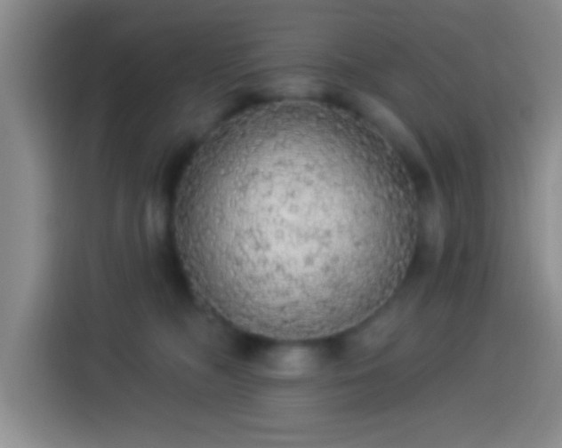 X0000113920326200910011517