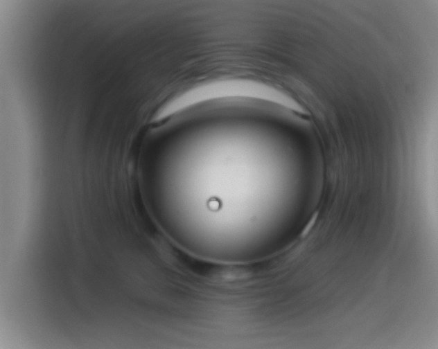 X0000113920327200910011517