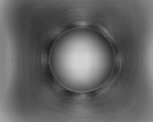 X0000113920330200910011517