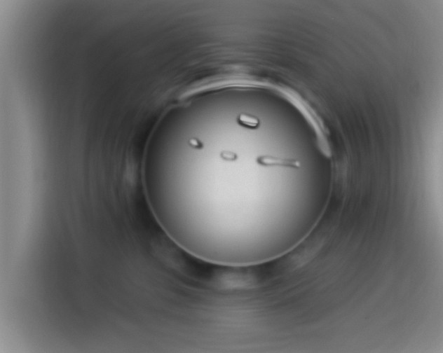 X0000113920331200910011517