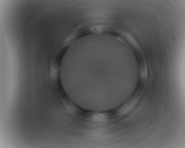 X0000113920332200910011517