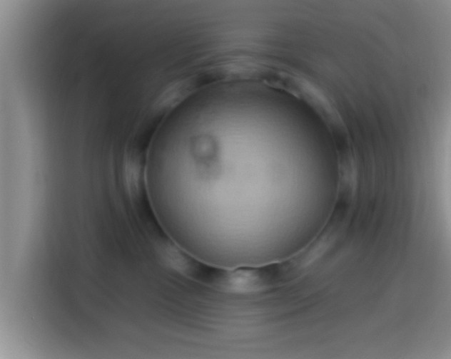 X0000113920333200910011517