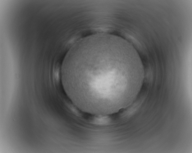 X0000113920334200910011517