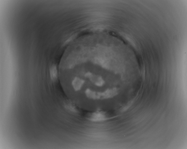 X0000113920335200910011517