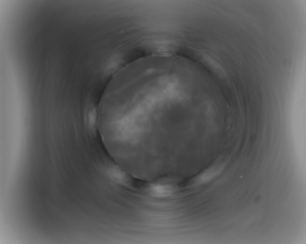 X0000113920336200910011517