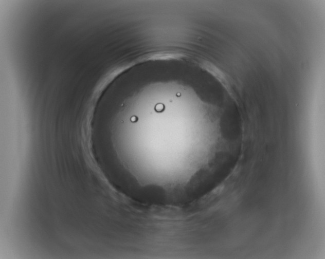 X0000113920337200910011516