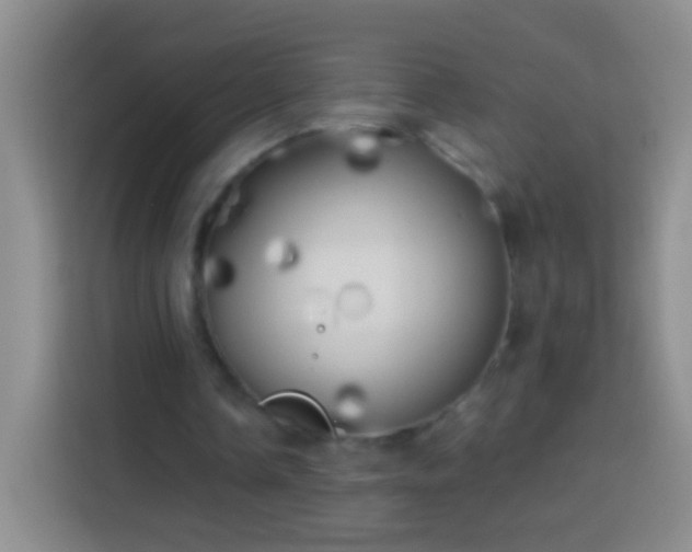 X0000113920338200910011516