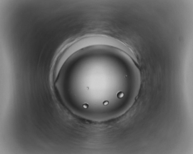 X0000113920340200910011516