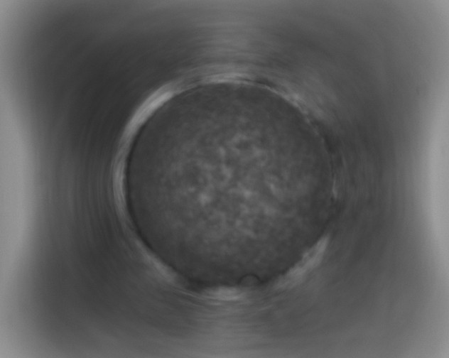 X0000113920341200910011516
