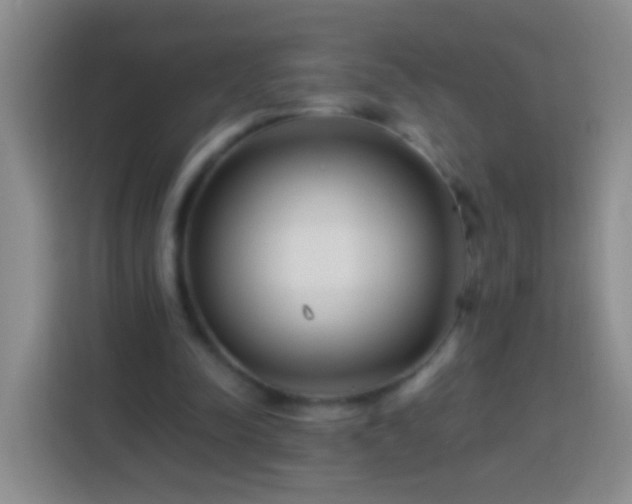 X0000113920342200910011516