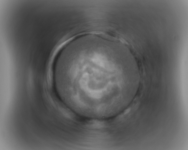X0000113920343200910011516