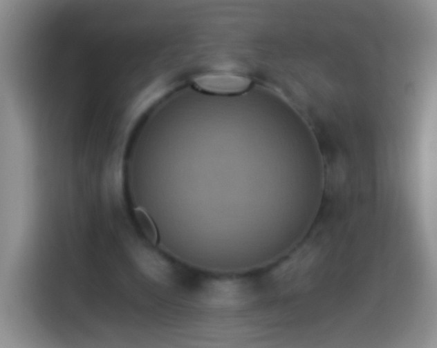 X0000113920344200910011516