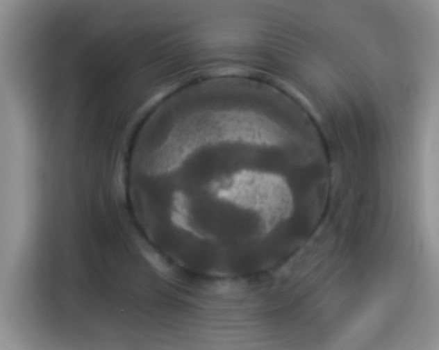 X0000113920345200910011516
