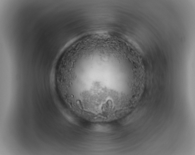 X0000113920346200910011516