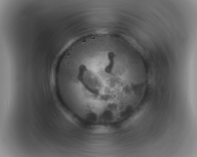 X0000113920347200910011516