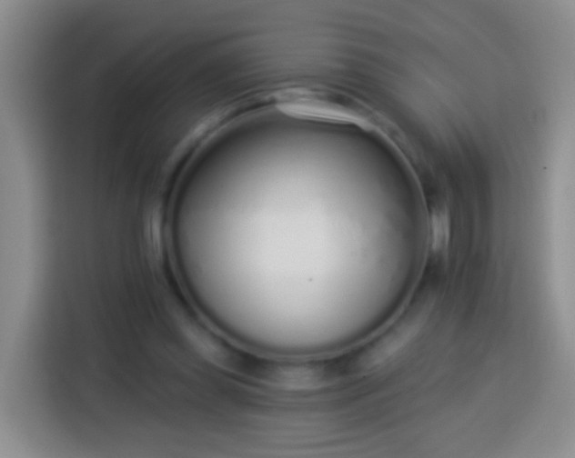 X0000113920349200910011516