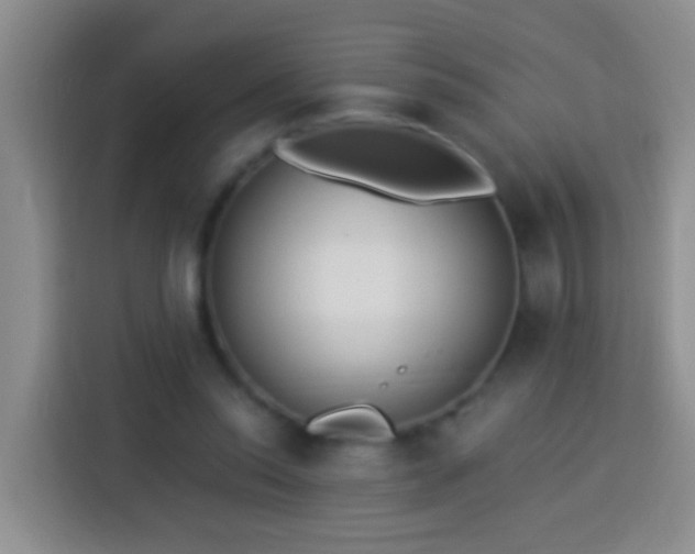 X0000113920350200910011516