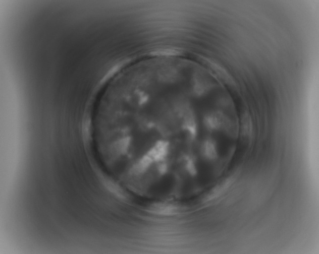 X0000113920351200910011516