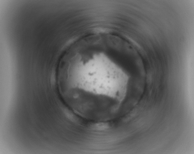 X0000113920353200910011516