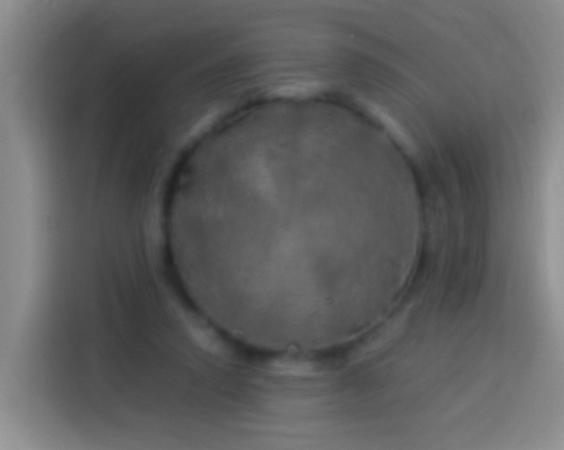 X0000113920354200910011516