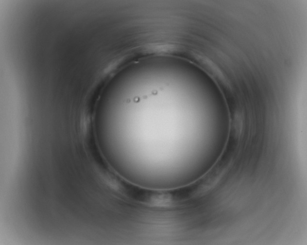 X0000113920355200910011516