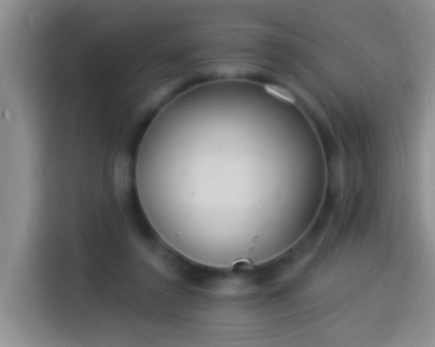 X0000113920356200910011516