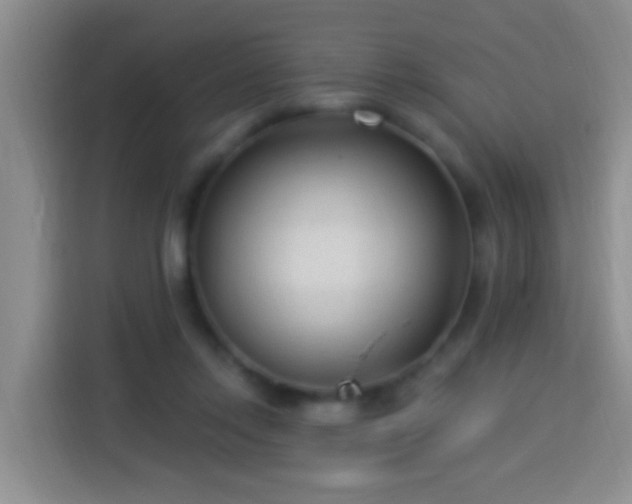 X0000113920358200910011516