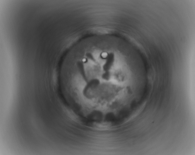 X0000113920359200910011516