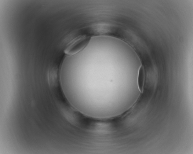 X0000113920360200910011517
